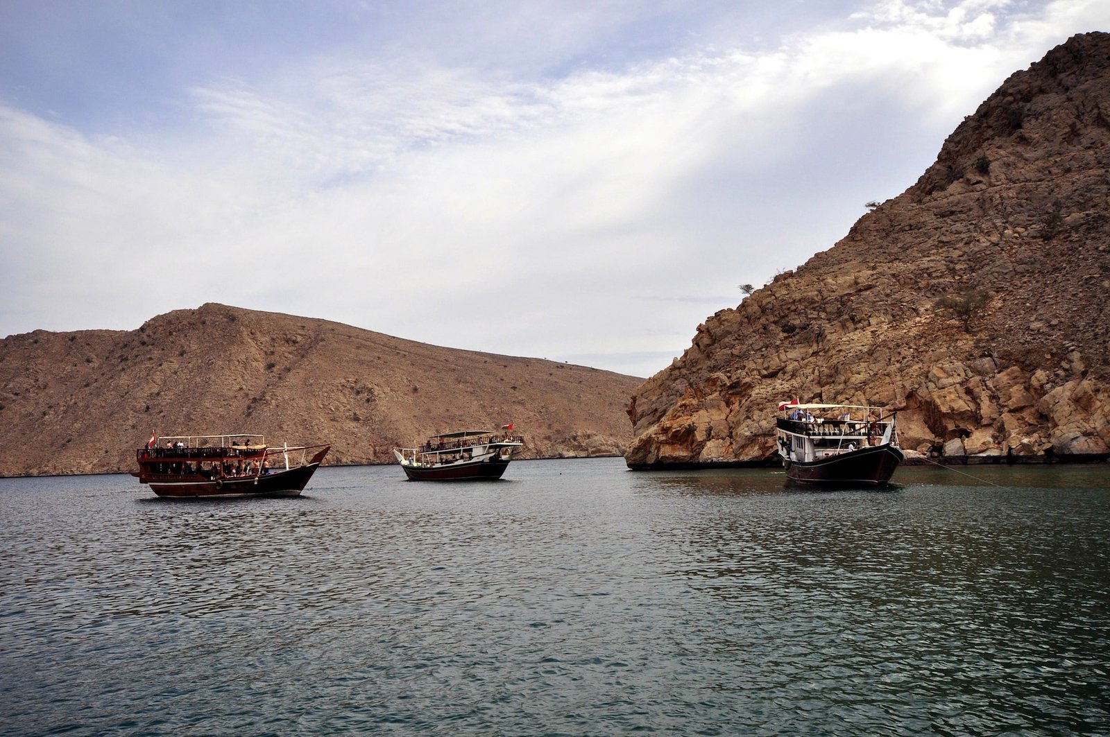 Fjords d'Oman Tour Premium excursion